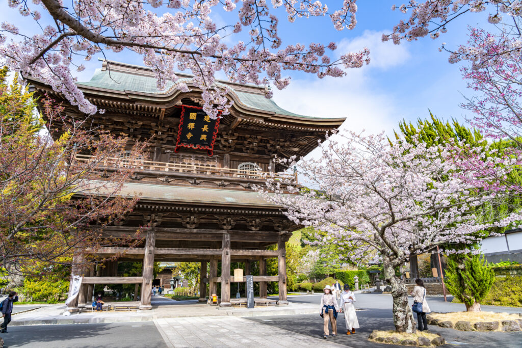 まとめ|鎌倉で家族旅行を満喫しましょう