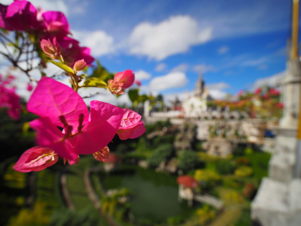 まとめ｜予算管理で楽しみが広がるセブ島旅行