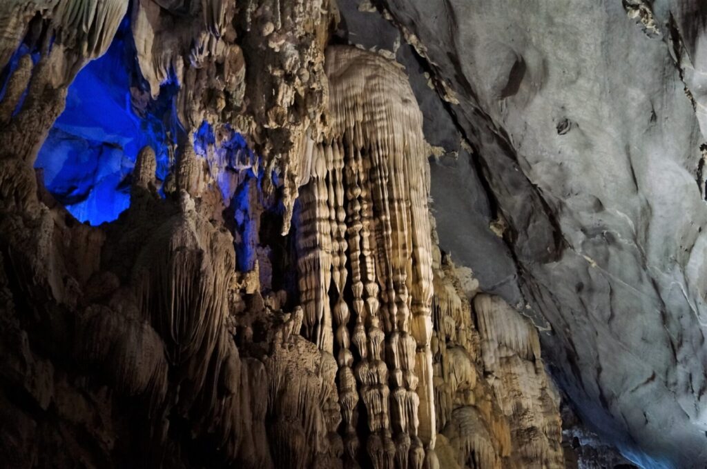 自然遺産の魅力
