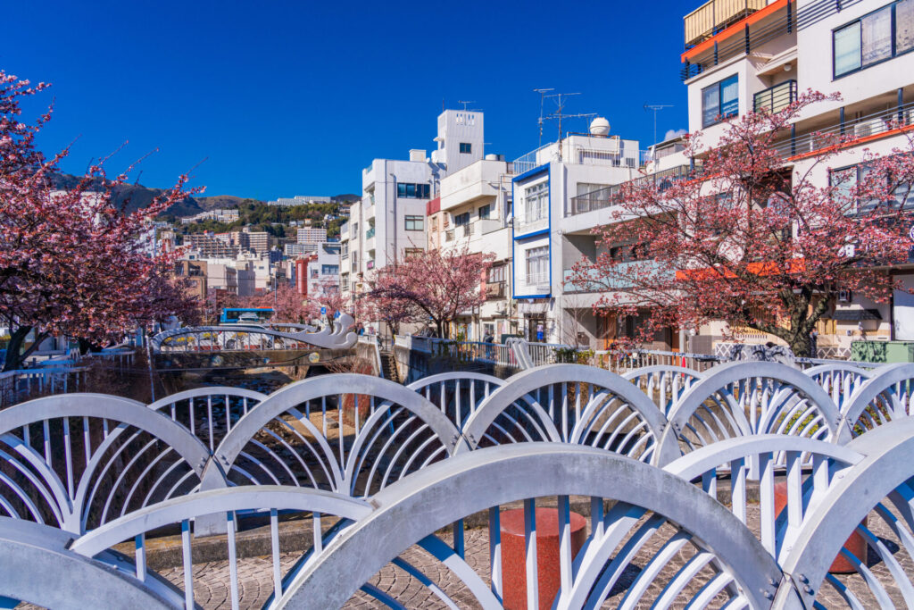 糸川遊歩道と桜