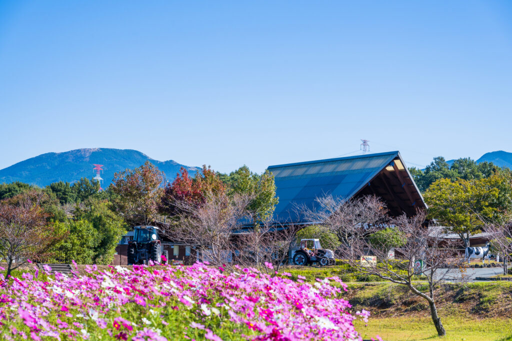 冬の登別観光で行きたいのぼりべつクマ牧場
