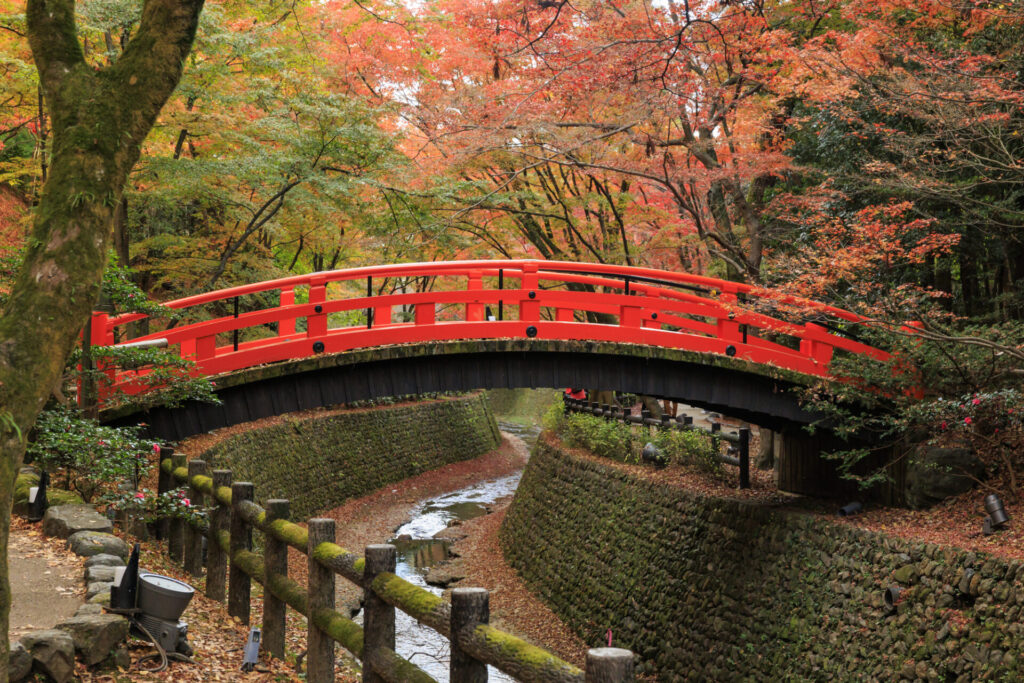 北野天満宮史跡御土居のもみじ苑の紅葉