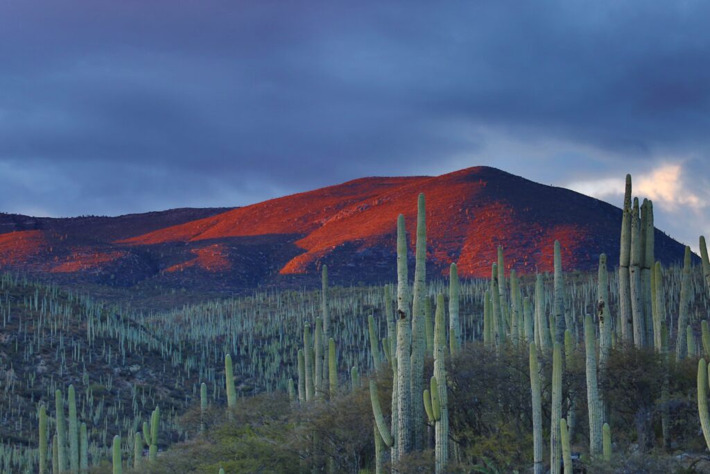 メキシコの絶景スポット