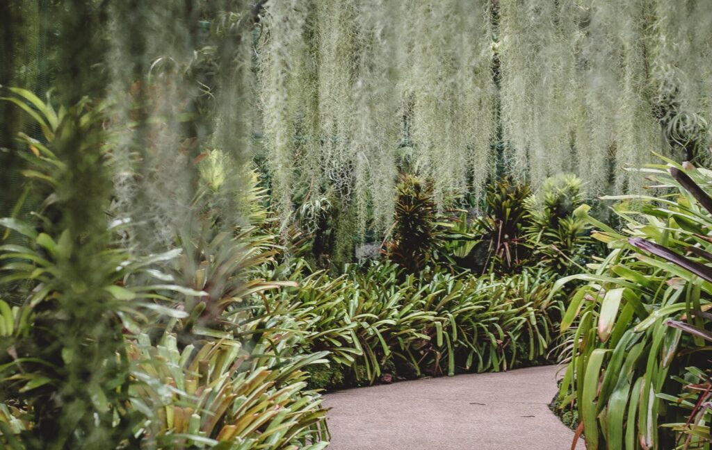 シンガポールの世界遺産