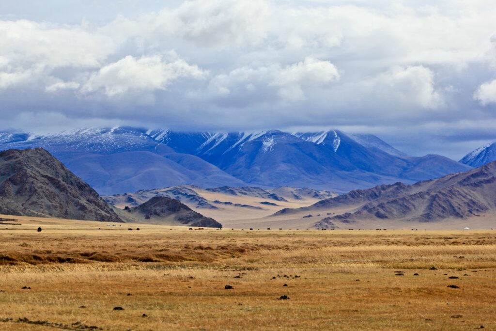 モンゴル一人旅の基本情報