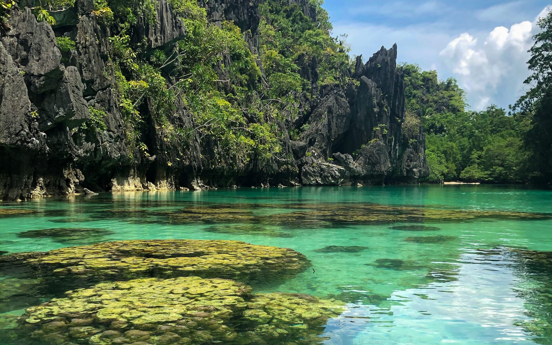 ビッグラグーン