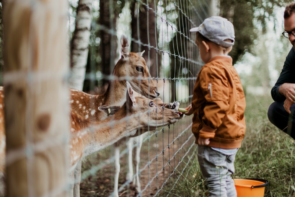 シンガポール動物園