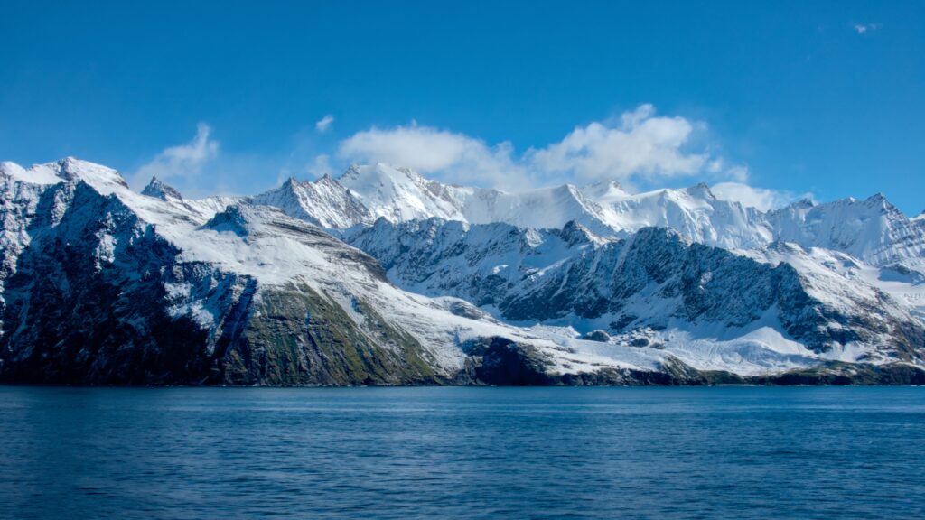 サウスジョージア