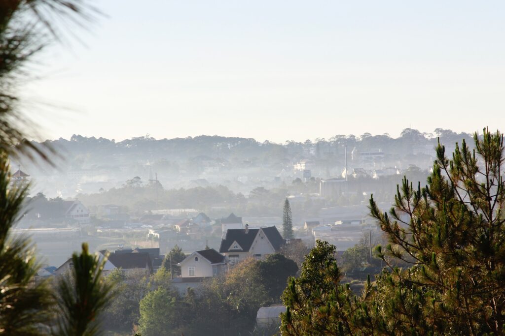 まとめ|ダラット観光で素敵な体験を