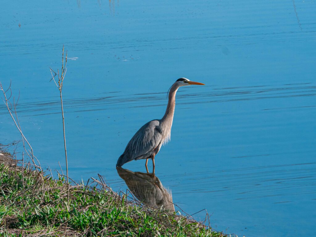 カルガリーのアウトドア活動