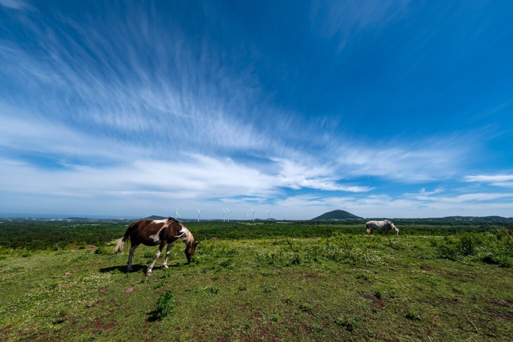 チェジュ島2泊3日にもっと安く行く方法