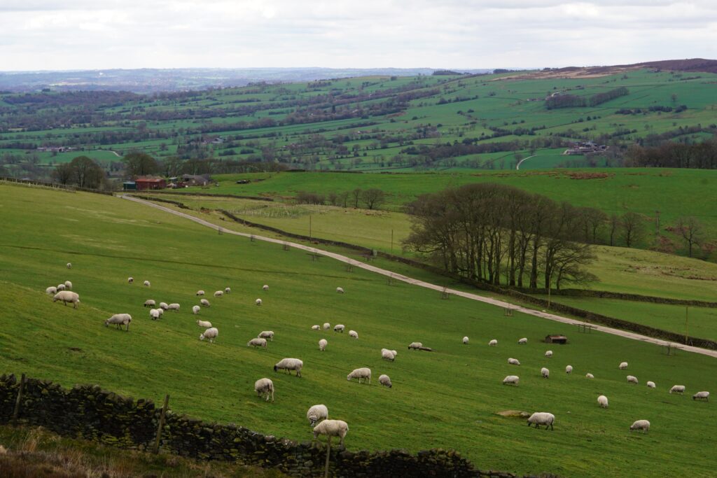 ピーク・ディストリクト国立公園