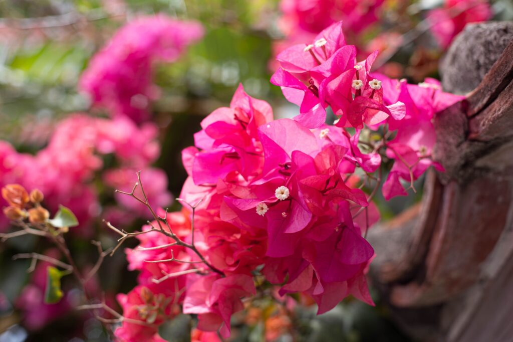 午前: なかゆくい市場おんなの駅で沖縄グルメを堪能