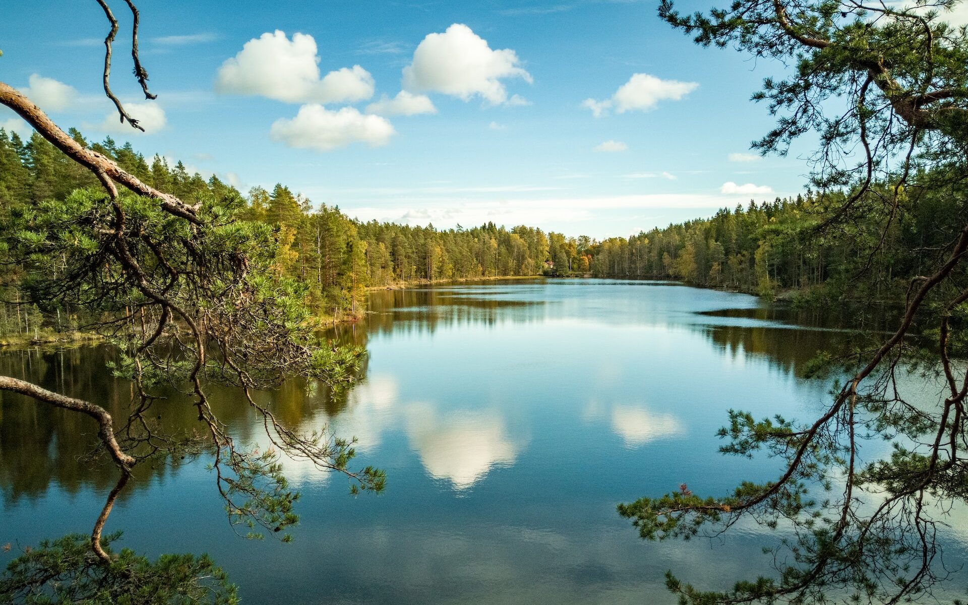 フィンランド新婚旅行の魅力