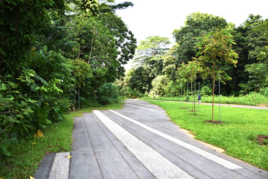 ブキティマ自然保護区