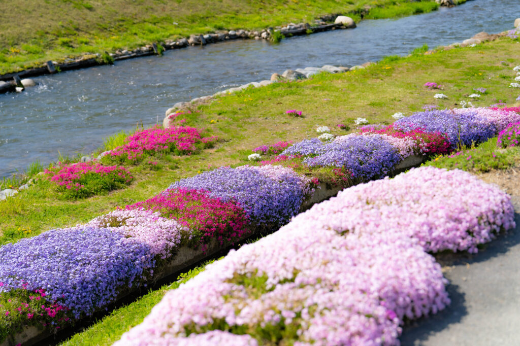 長野の自然美スポット