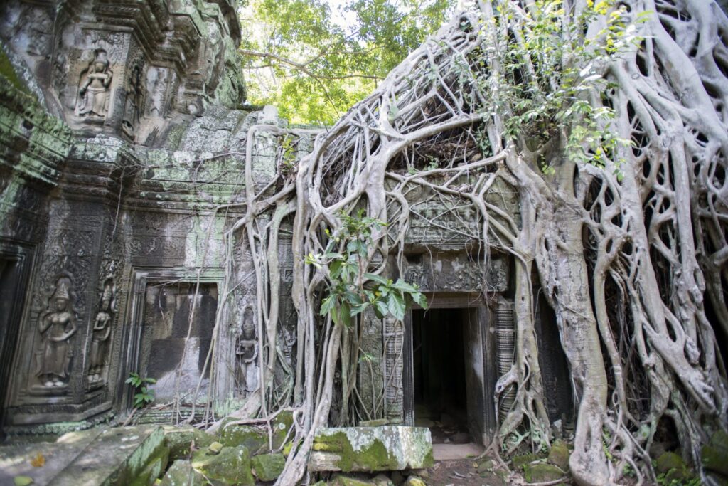 カンボジア　シェムリアップ　タプローム遺跡