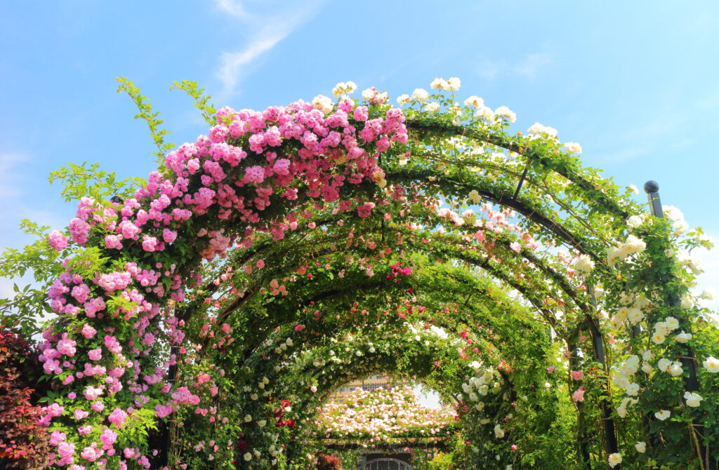 横浜イングリッシュガーデン