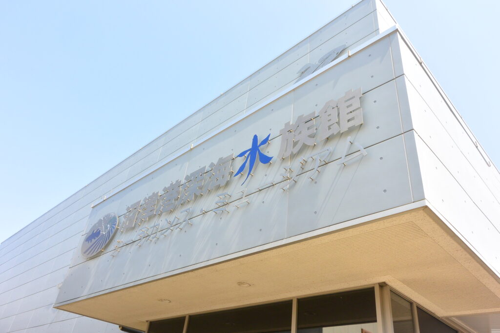 沼津港深海水族館 シーラカンス・ミュージアム