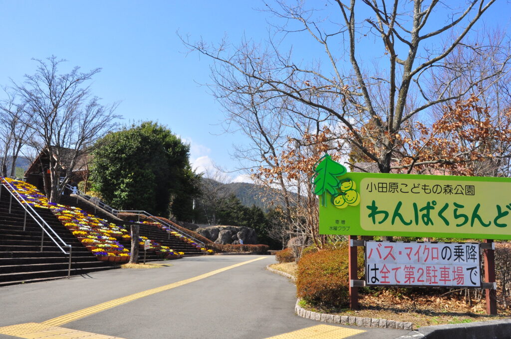 小田原こどもの森公園わんぱくらんど
