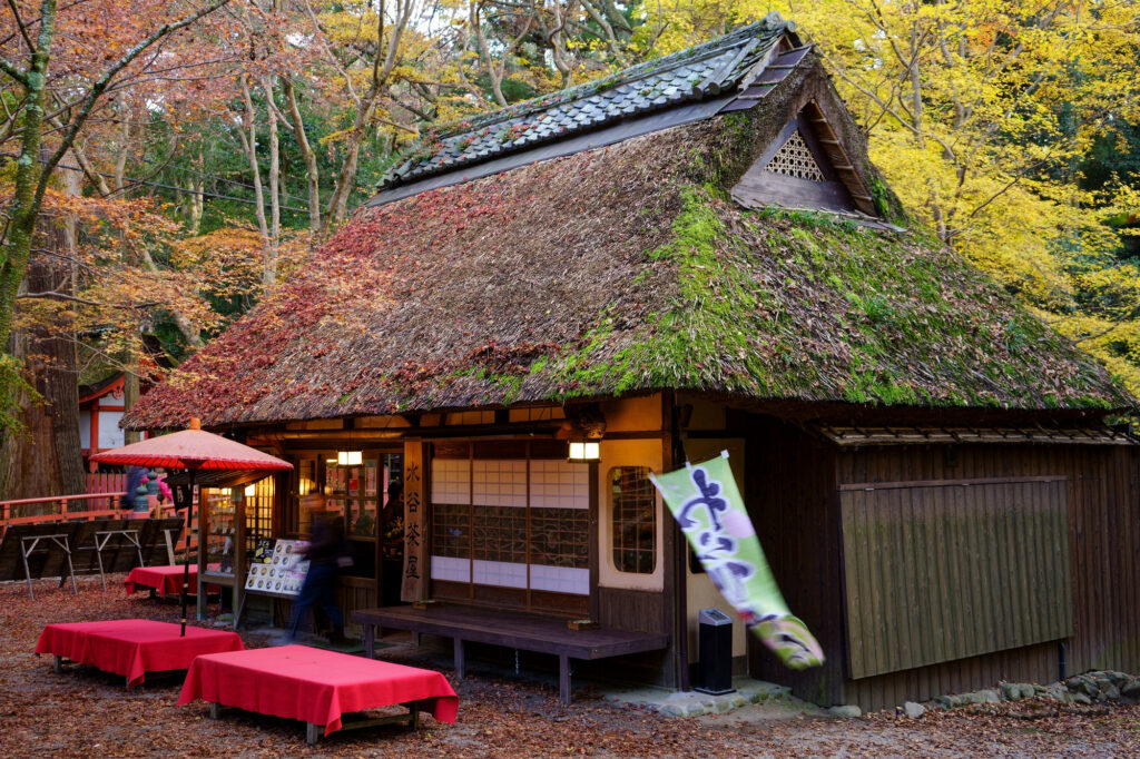 奈良公園隠れ名所1