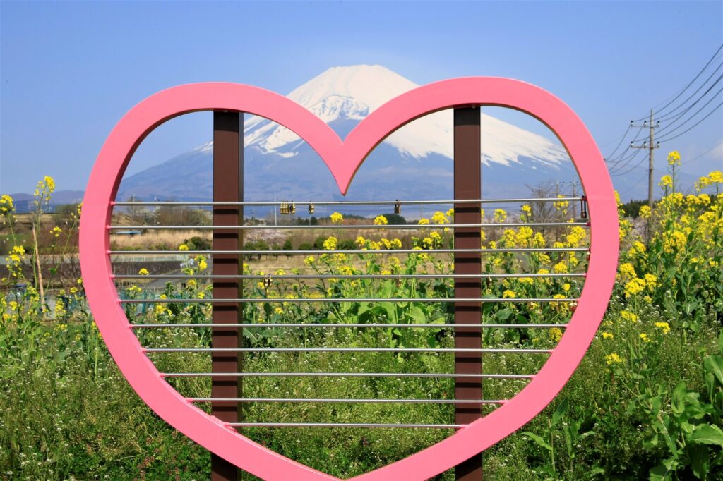 静岡のアート＆クラフト