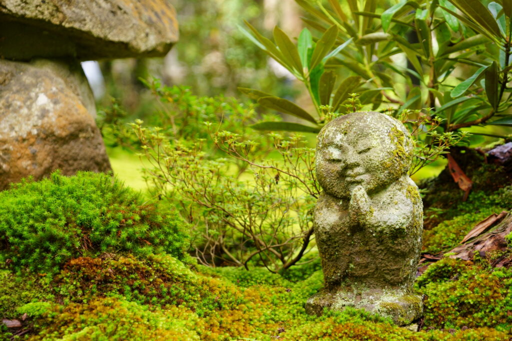 三千院の苔庭は夏に行きたい京都のおすすめスポット