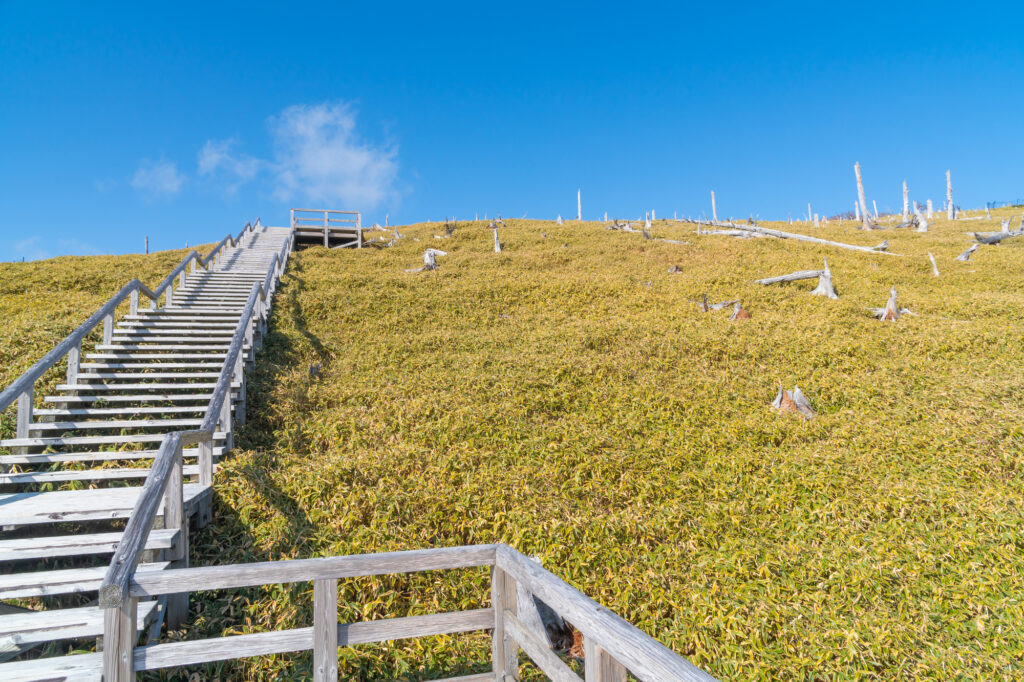 奈良・正木峠への木道(大台ヶ原山)
