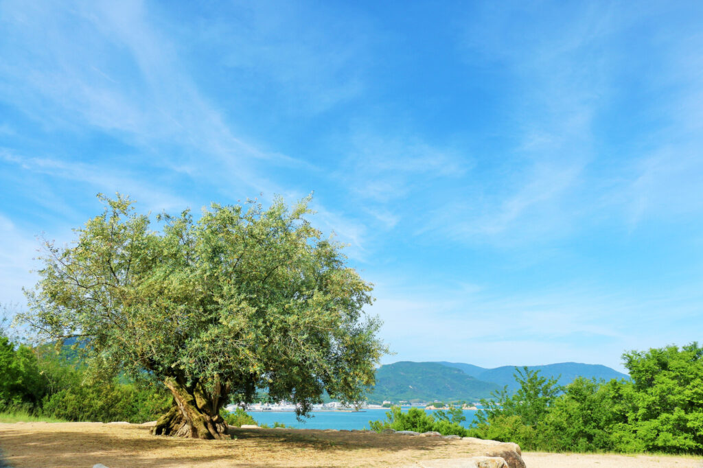 香川のカップル向けスポット