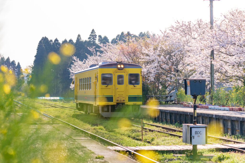 千葉の自然を楽しむスポット