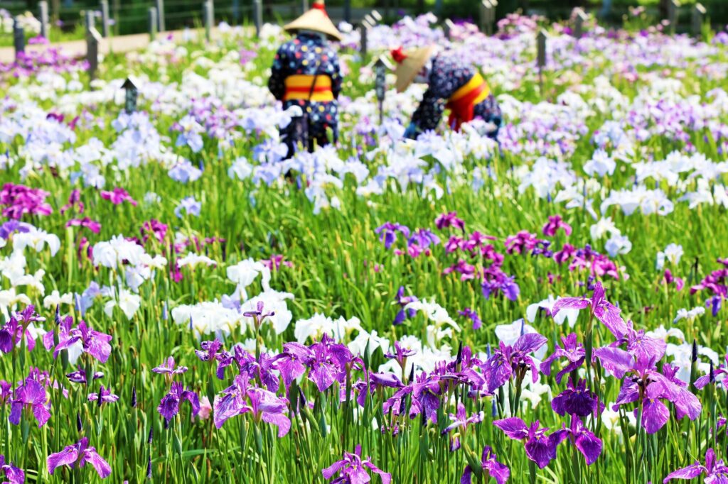 千葉の穴場スポット
