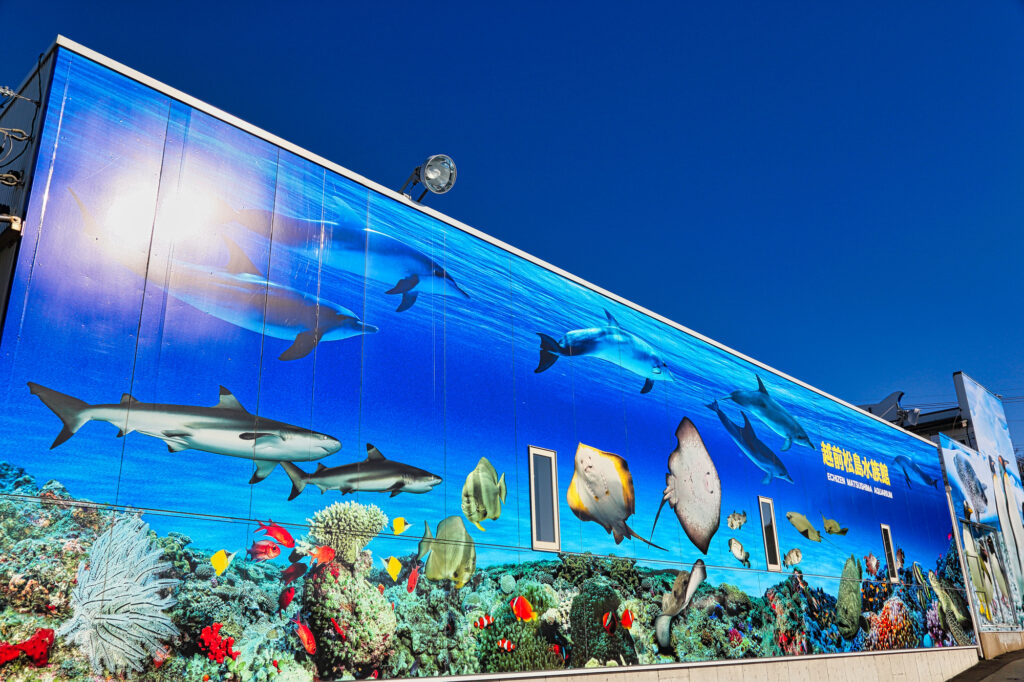 越前松島水族館