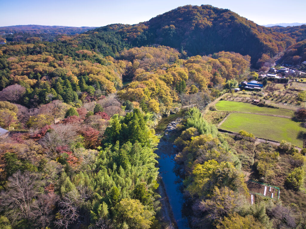 埼玉の人気観光地