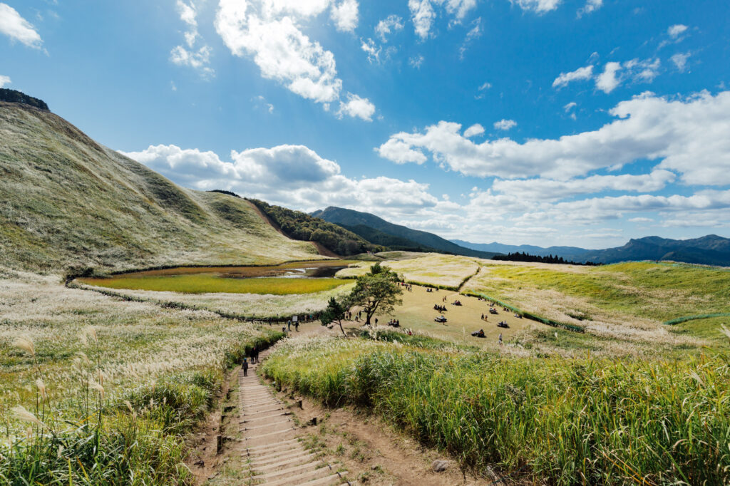 奈良・曽爾高原のススキ