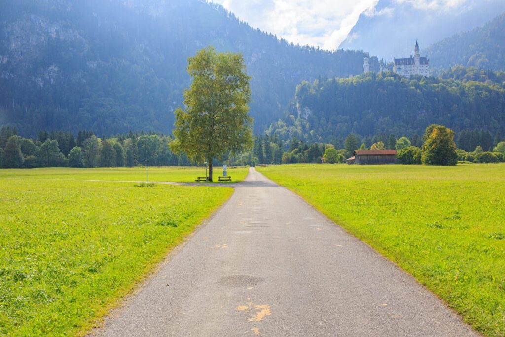 ドイツ・バイエルン州の小さな町のフュッセンの一本の木と道