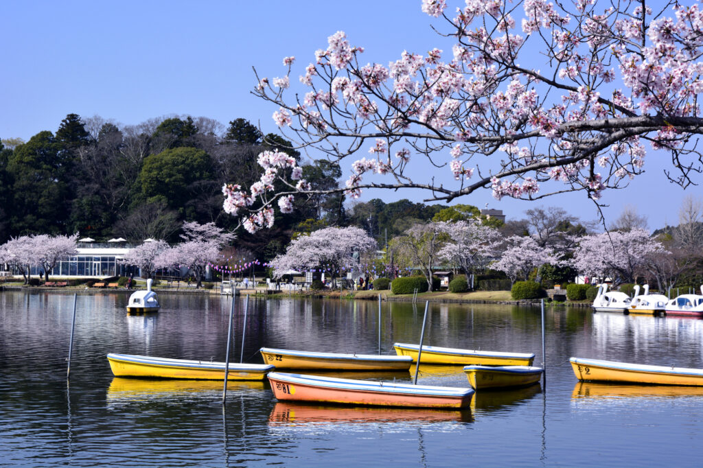 千波公園