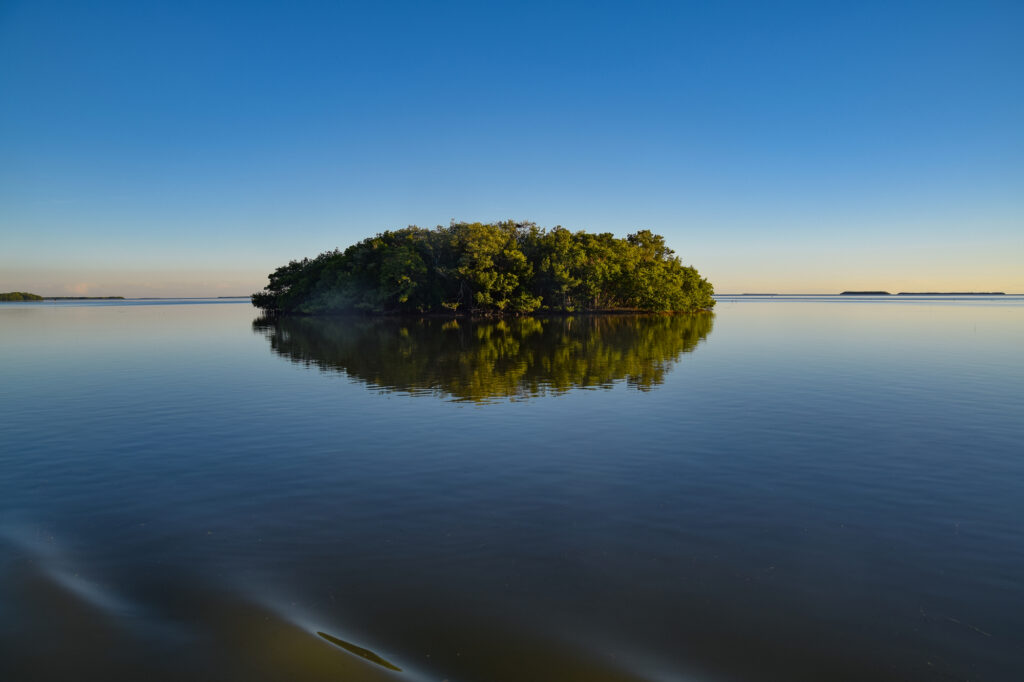エバーグレーズ国立公園