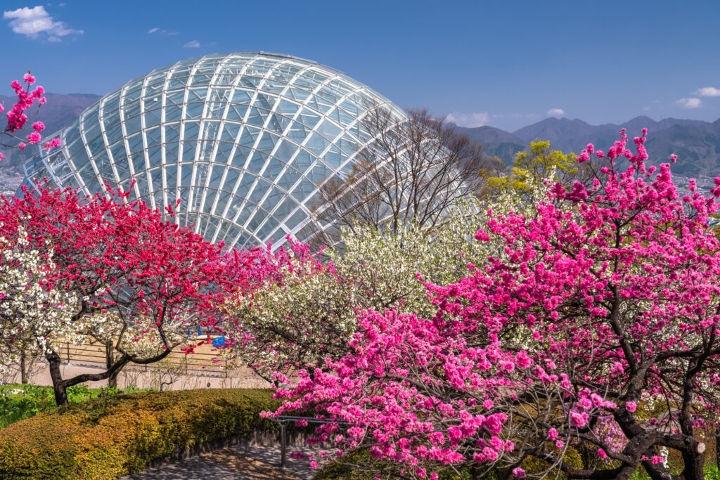 山梨県笛吹川フルーツ公園