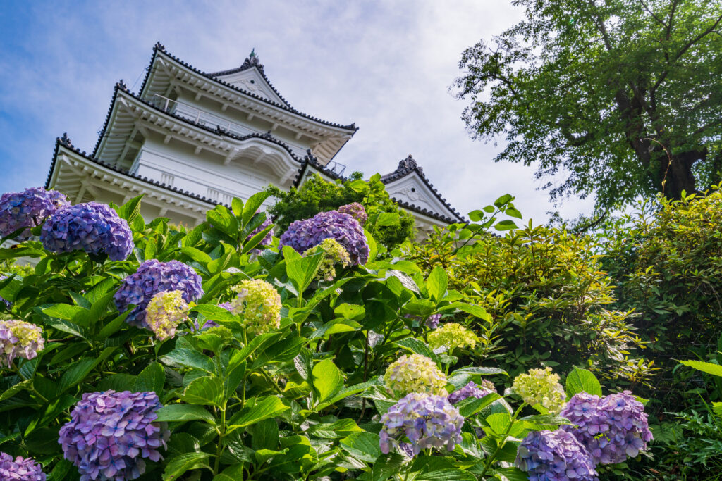 神奈川の小田原城