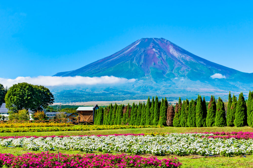 山中湖 花の都公園