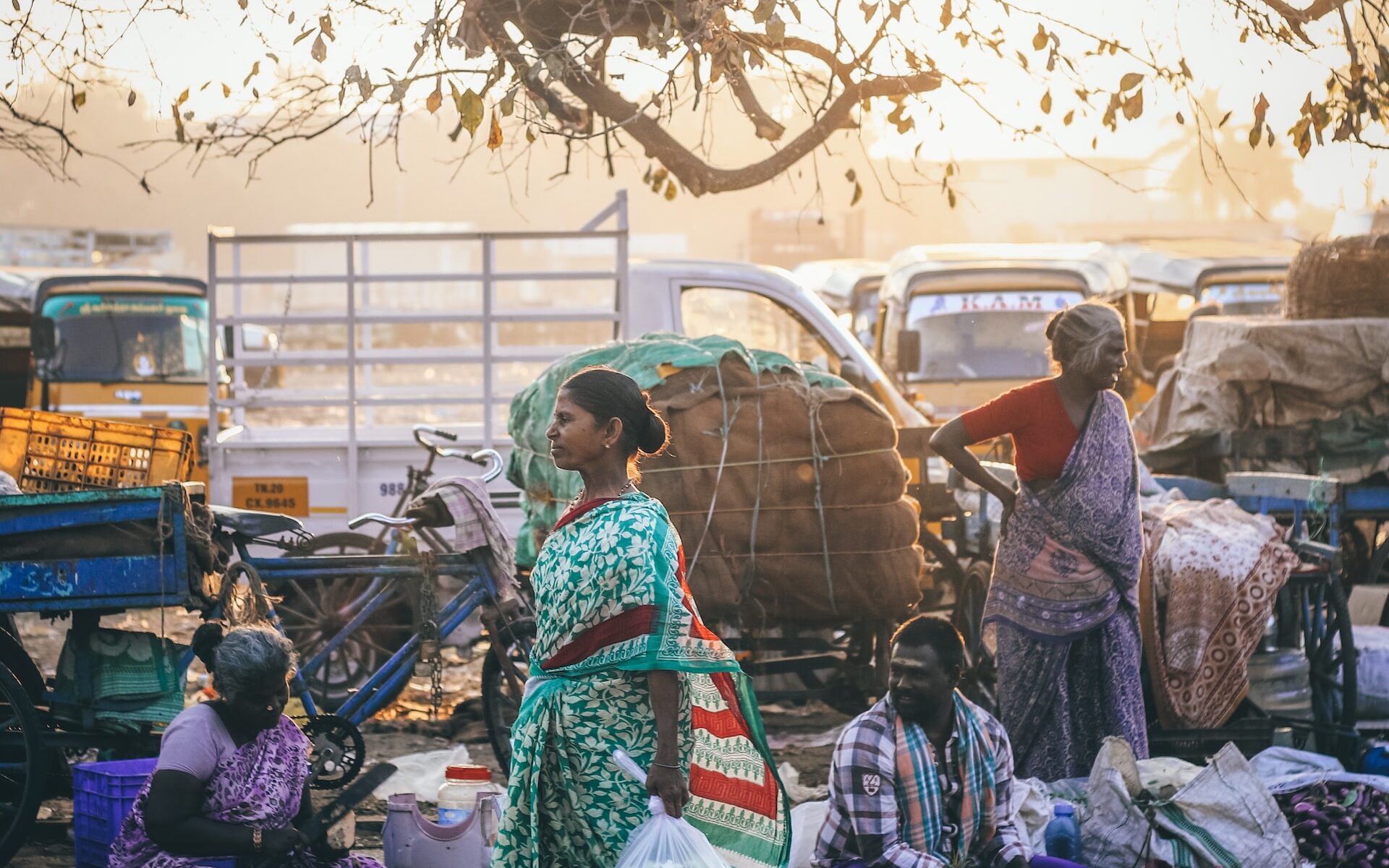 まとめ|チェンナイでインドの魅力を満喫しよう