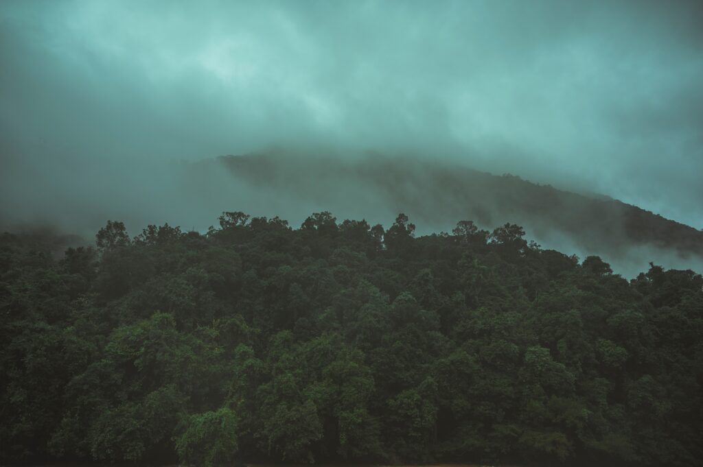 西ガーツ山脈の風景