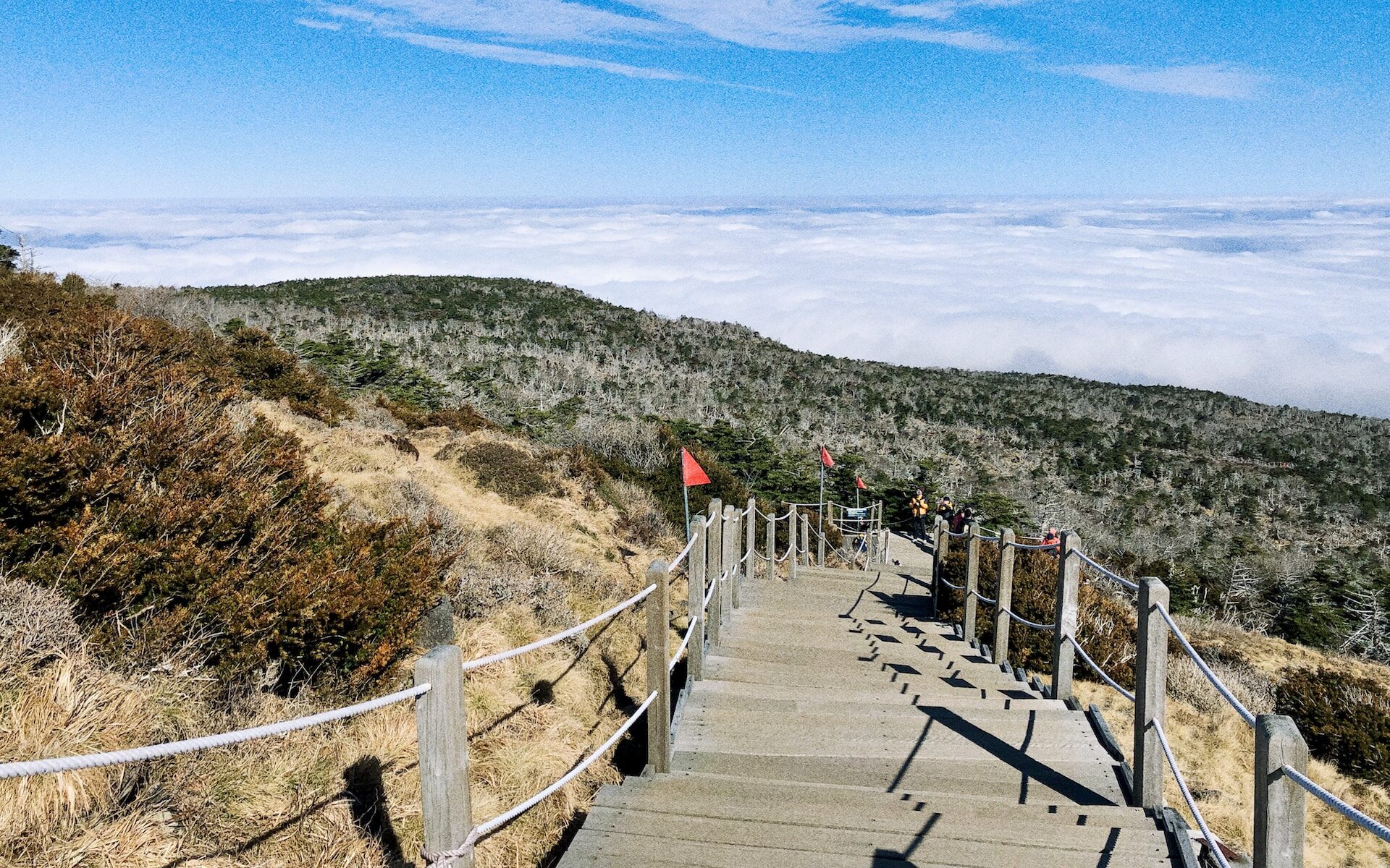 済州島観光ツアーの前に知りたい基本情報を紹介