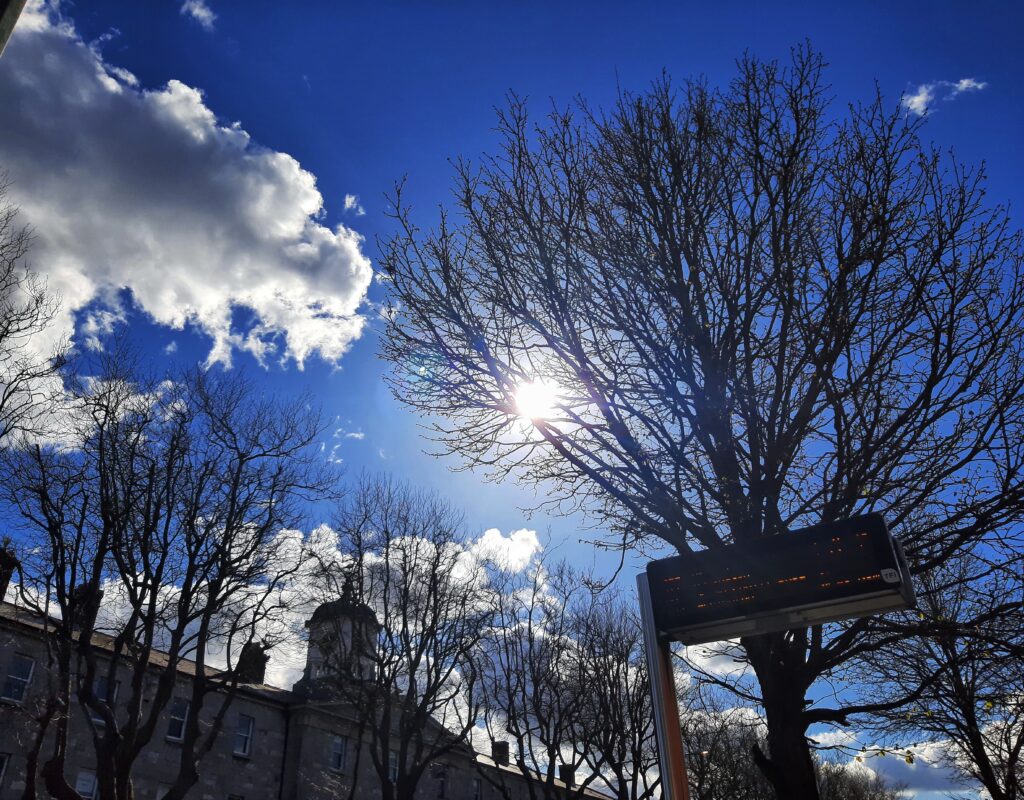 アイルランドの自然美