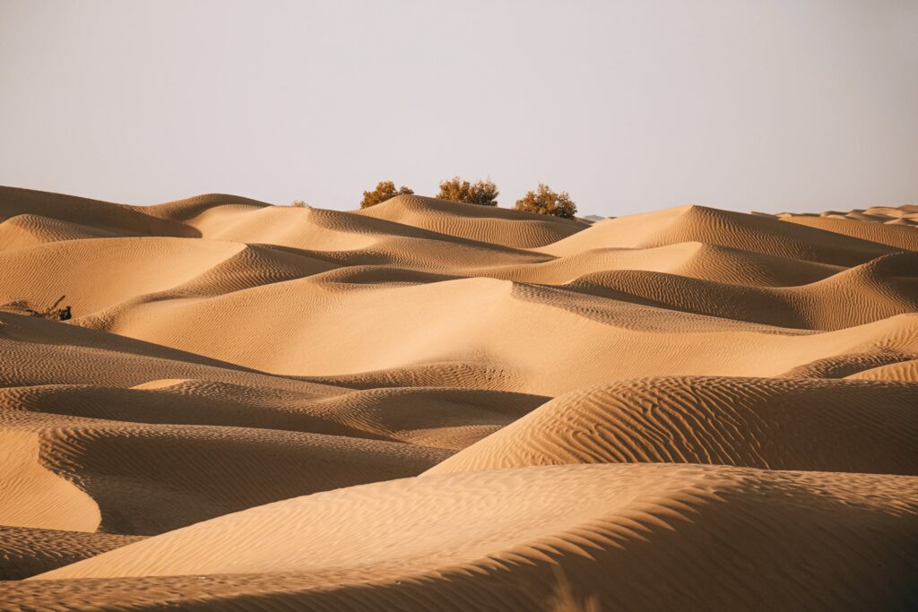 まとめ|カシュガルの魅力をたっぷりと味わおう