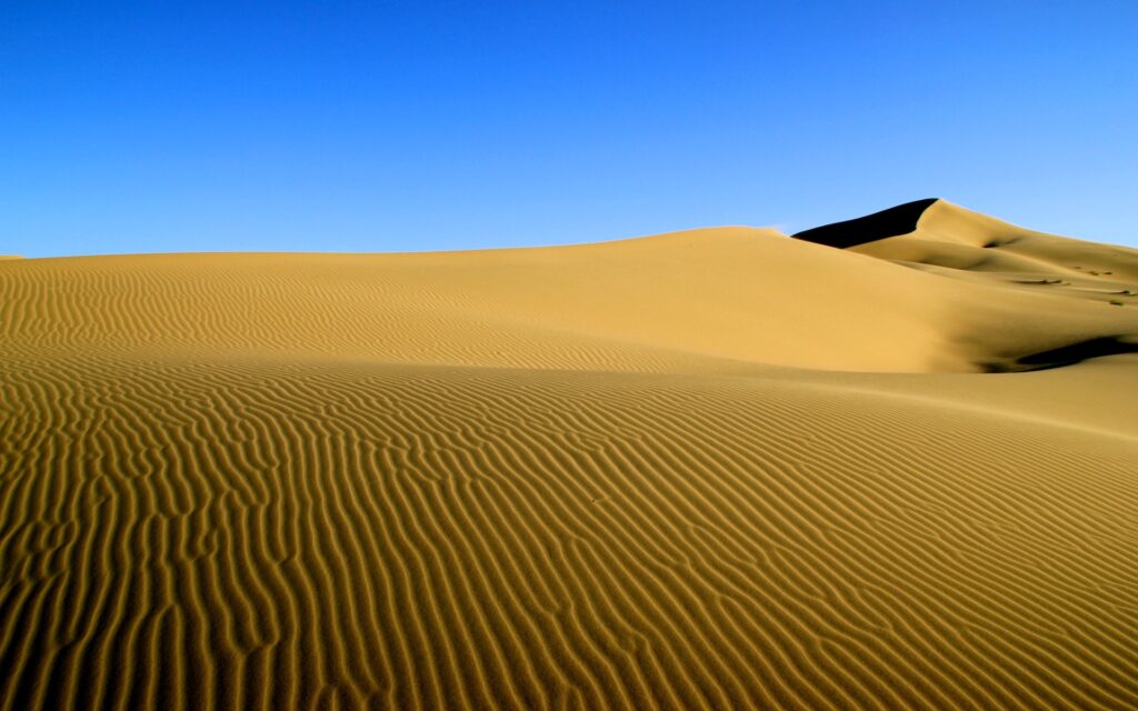 ゴビ砂漠の模様
