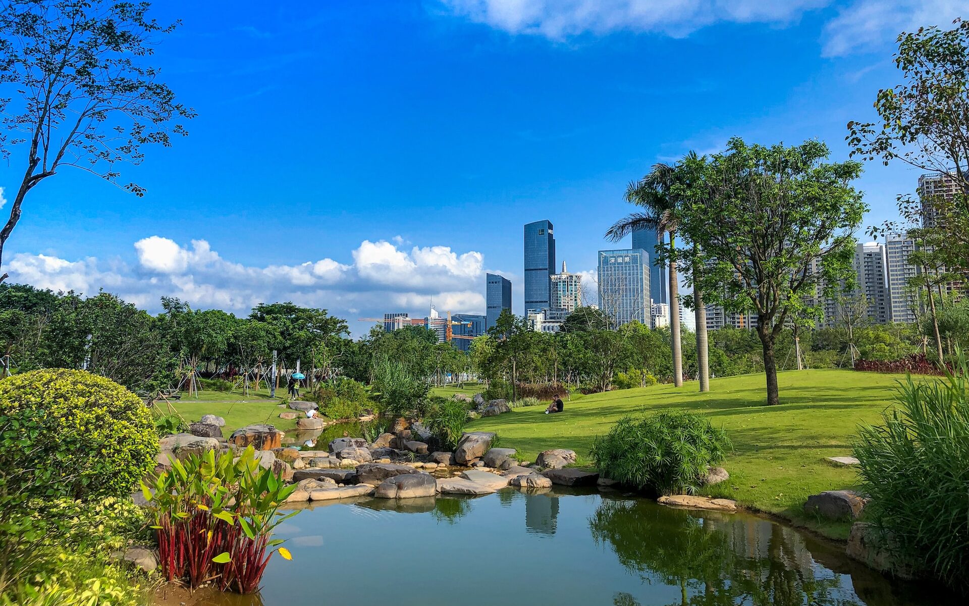 深センの自然の驚異