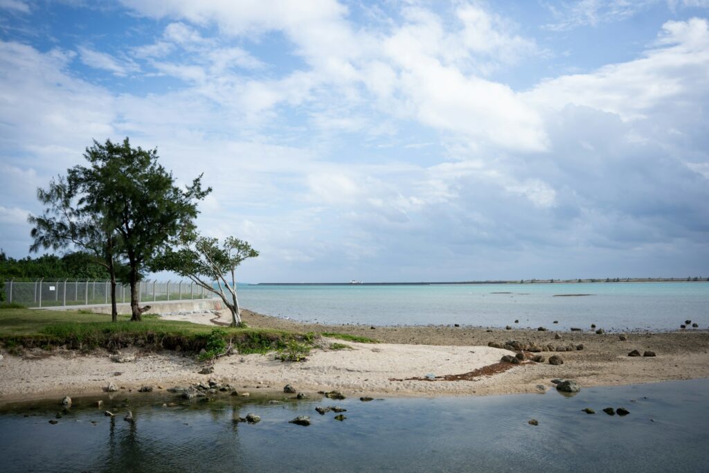 まとめ｜冬の沖縄旅行を満喫しましょう