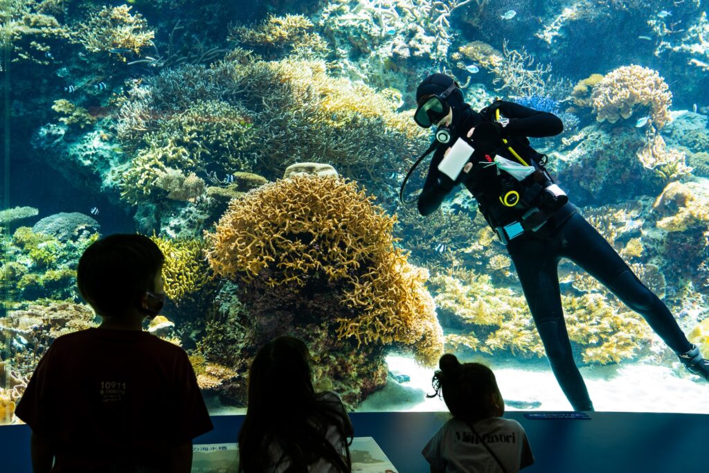 午前: 沖縄美ら海水族館で迫力満点の海洋生物を観賞