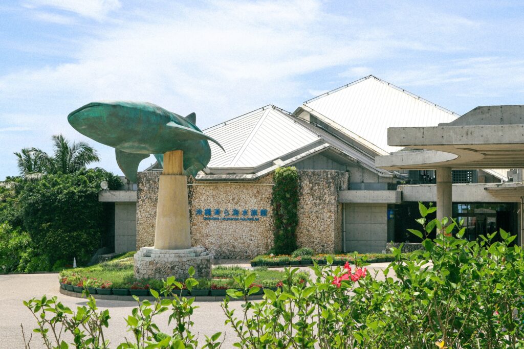 午前: 美ら海水族館への訪問